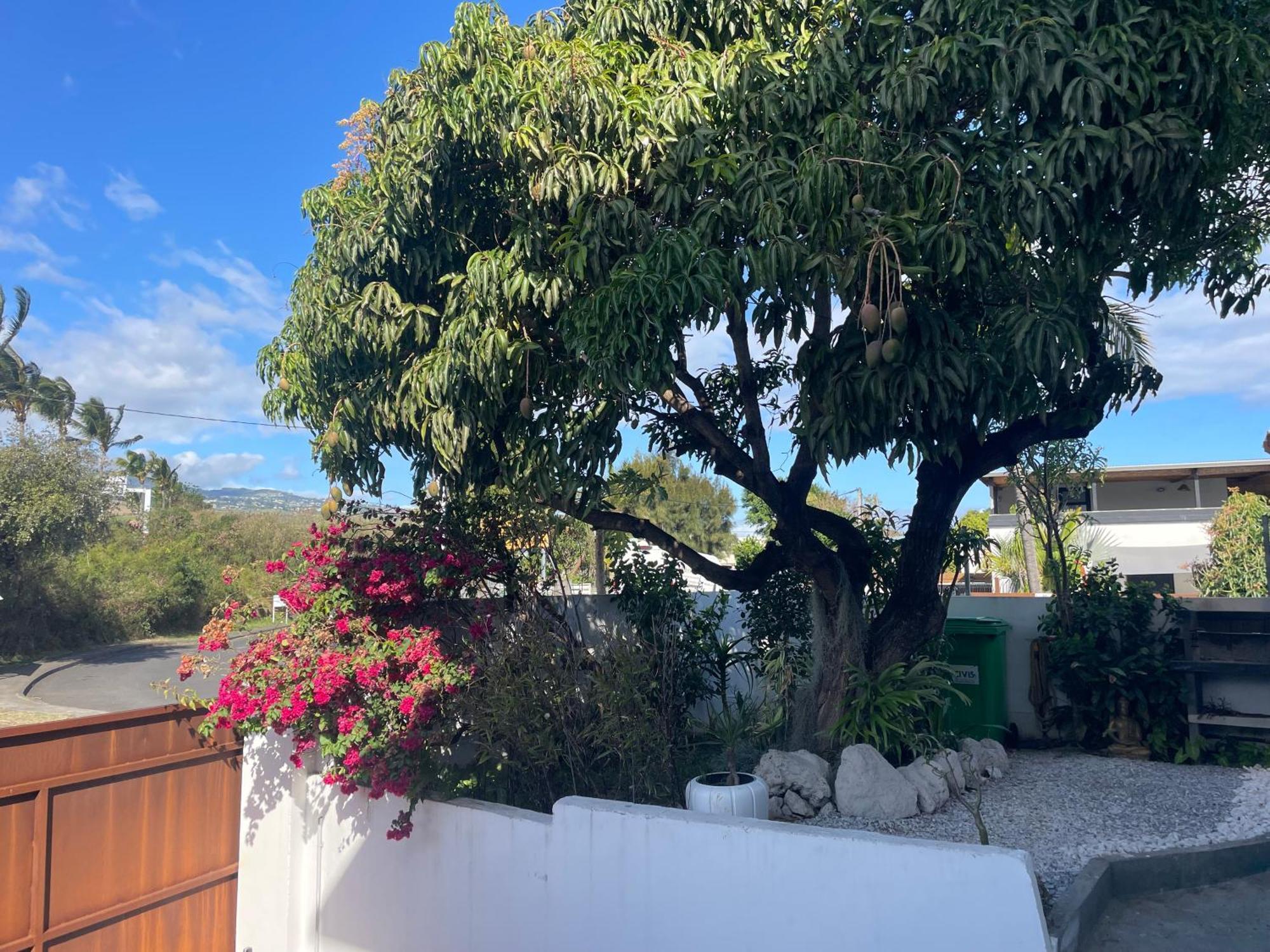 סן-פייר Villa Mya Location מראה חיצוני תמונה